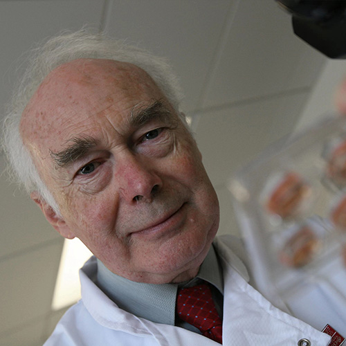 Martin J. Evans